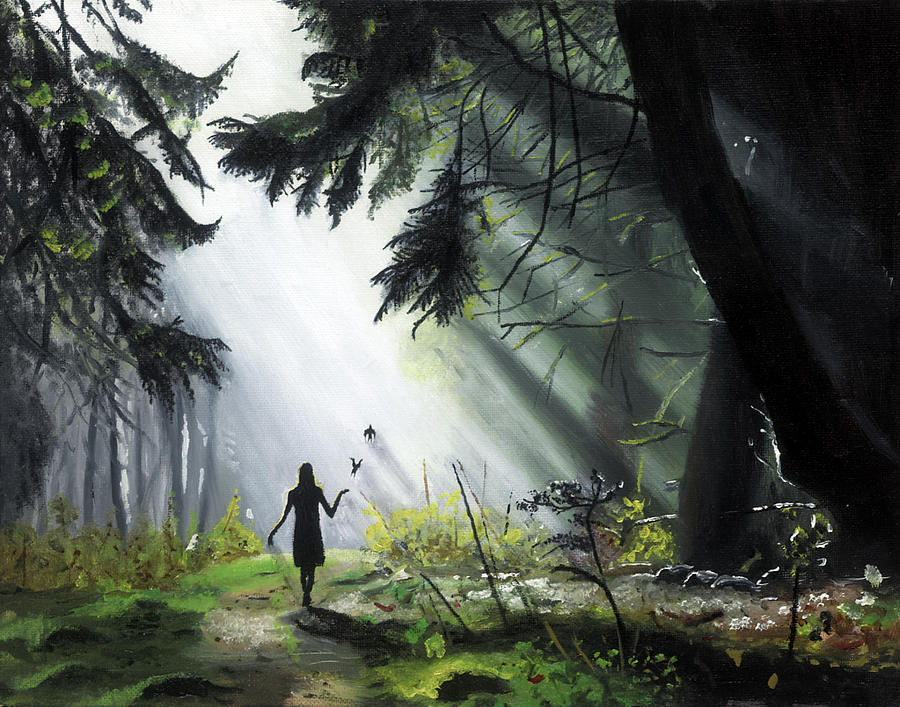 A Walk In The&nbsp;Woods